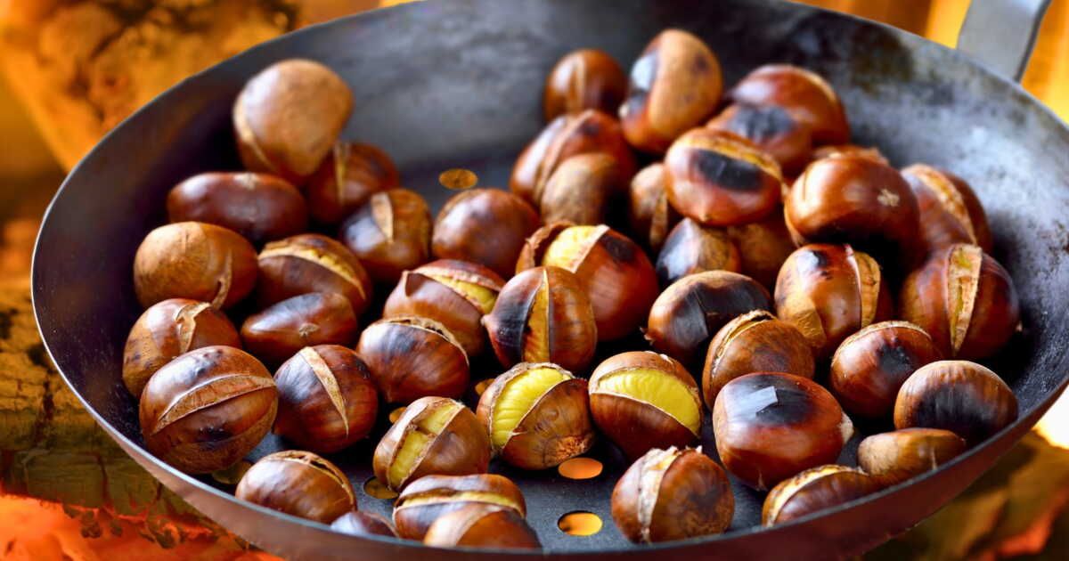 Les marrons, un trésor culinaire de l'automne