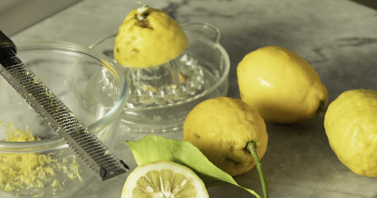 Le citron de Menton : un joyau du terroir azuréen