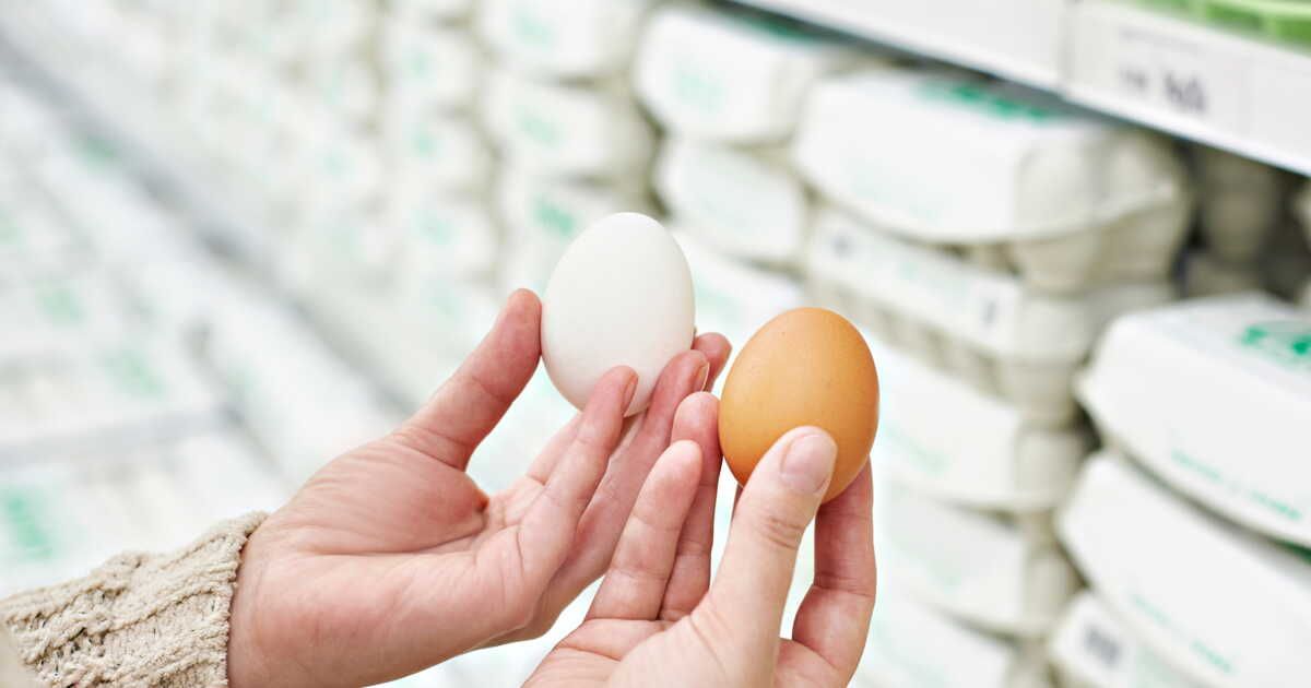 Les secrets d'un bon choix d'œufs