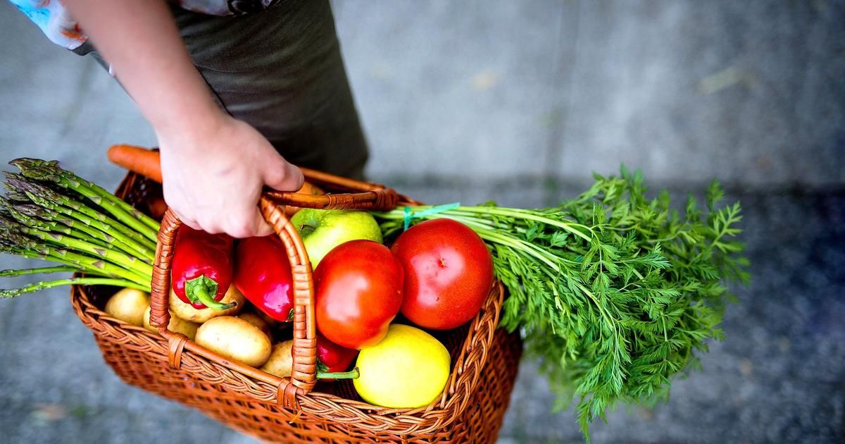 À la découverte des labels bios essentiels pour une alimentation plus saine
