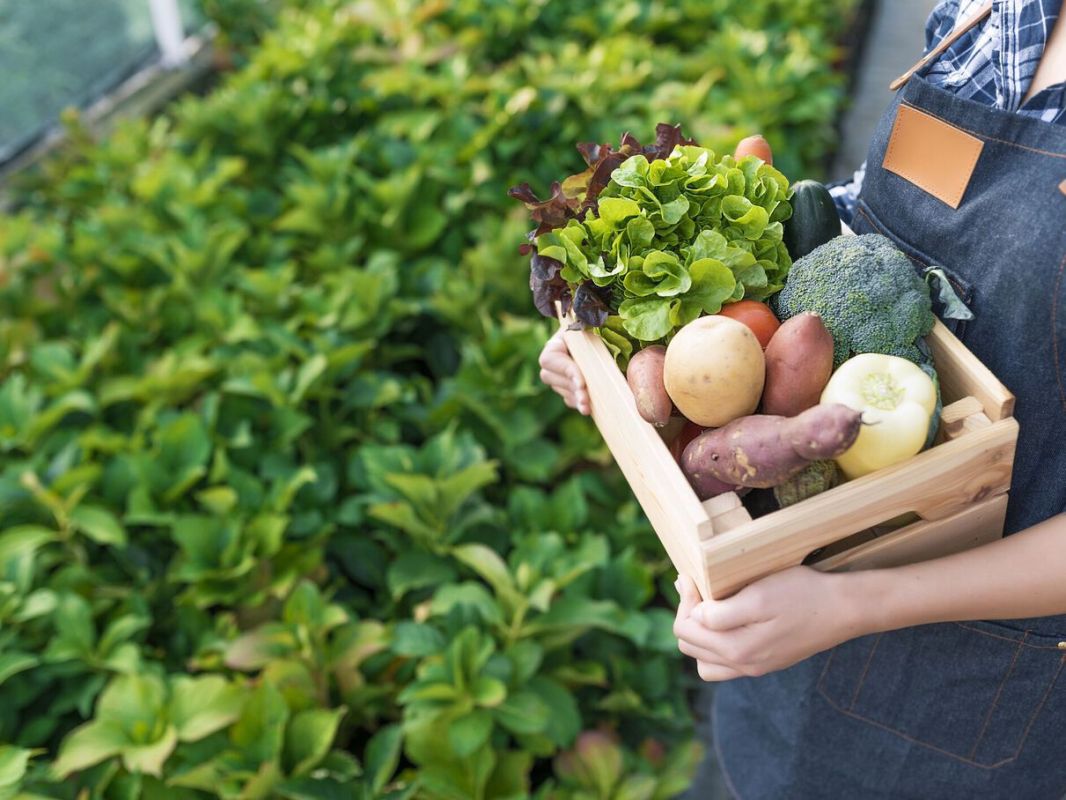 les bienfaits insoupçonnés des aliments bio