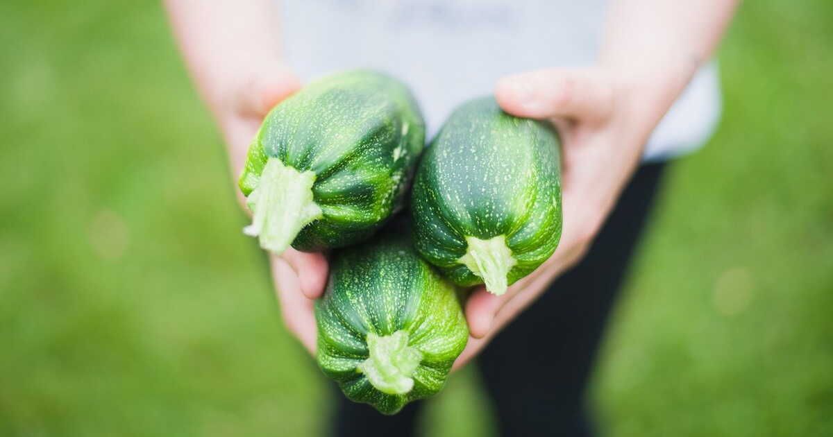 Préparez la courgette : astuces et conseils incontournables