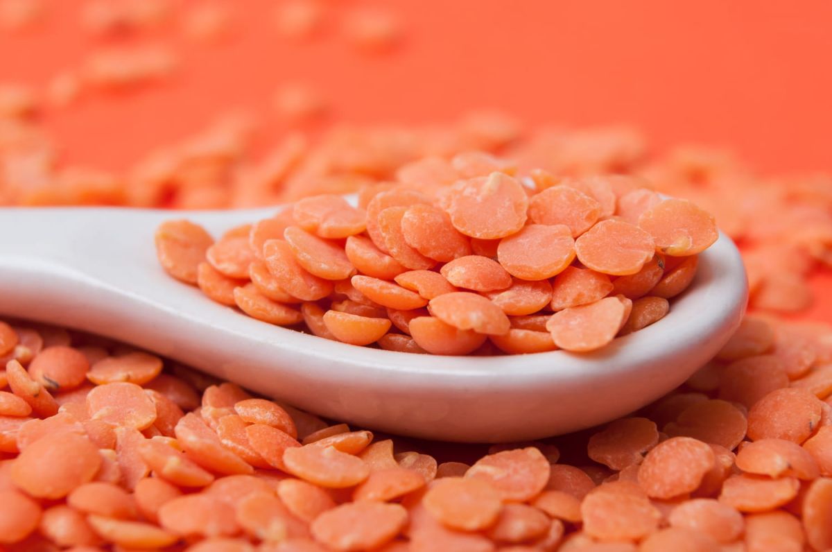 Les secrets pour réussir la cuisson des lentilles corail