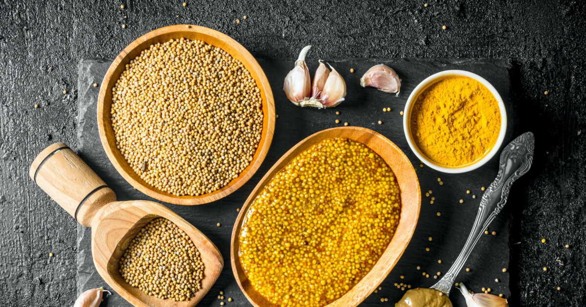 Moutarde : un trésor de recettes et astuces pour sublimer vos plats