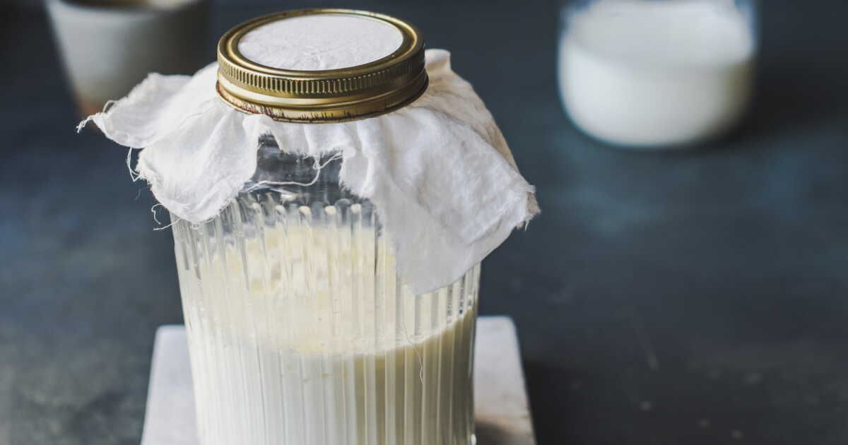 Les secrets d'un kéfir de lait maison réussi
