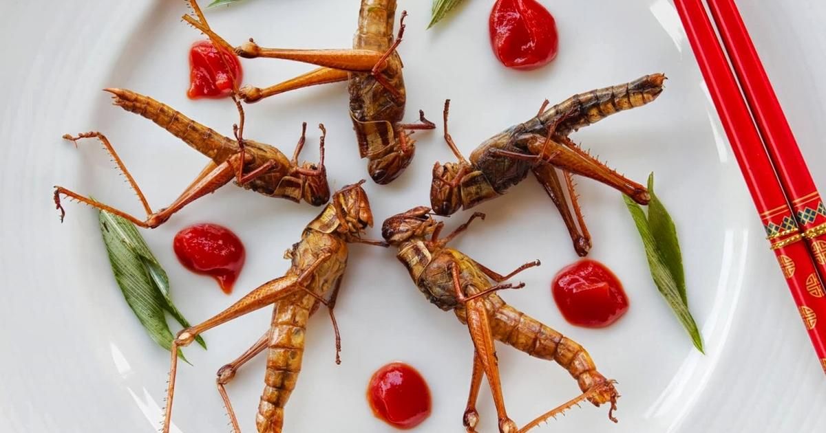 Insectes à la carte : quand la gastronomie fait peau neuve