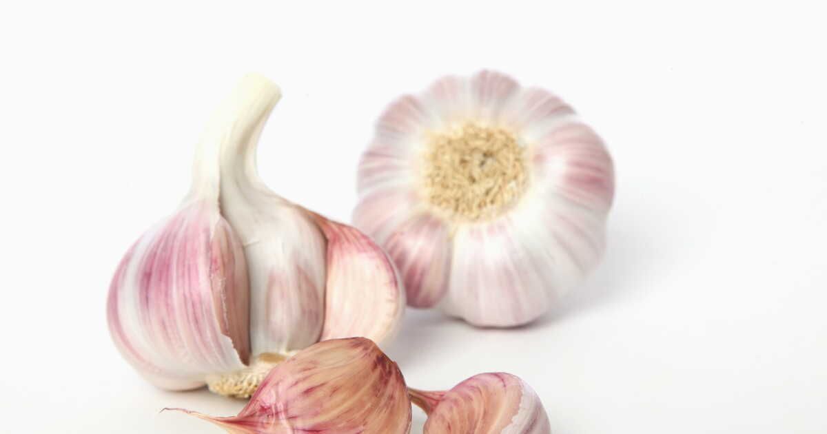 L'ail rose de Lautrec : une saveur inégalée en cuisine