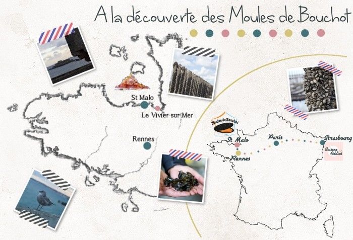 À la découverte des moules de bouchot – Part. 2 : Le Vivier sur Mer
