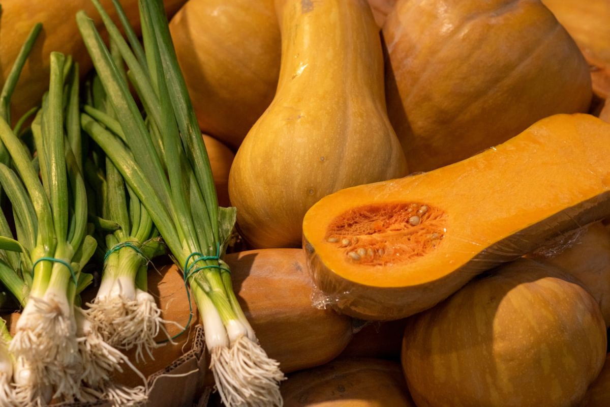 L'art de choisir la courge butternut parfaite : un indice incontournable