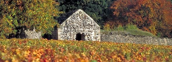 La bourgogne à petit prix : treize tables à découvrir