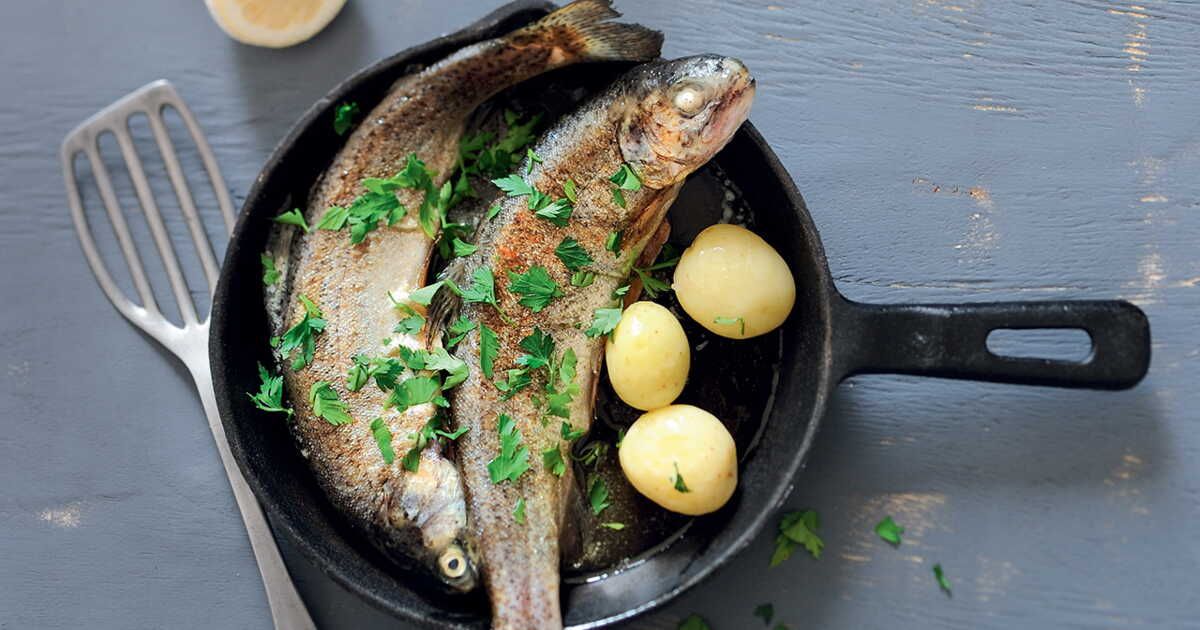 Découvrez la truite meunière, un délice à savourer