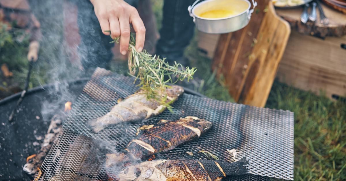 Savourer la nature : les clés pour bien manger en camping