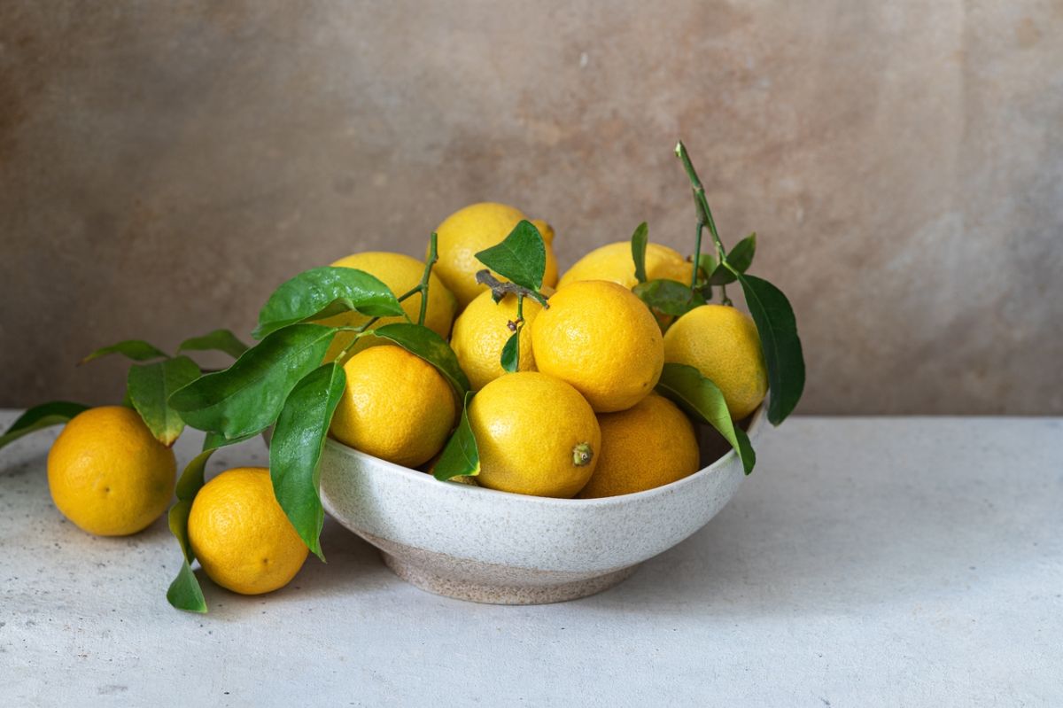 Surpoids et carence en vitamine C : un lien préoccupant