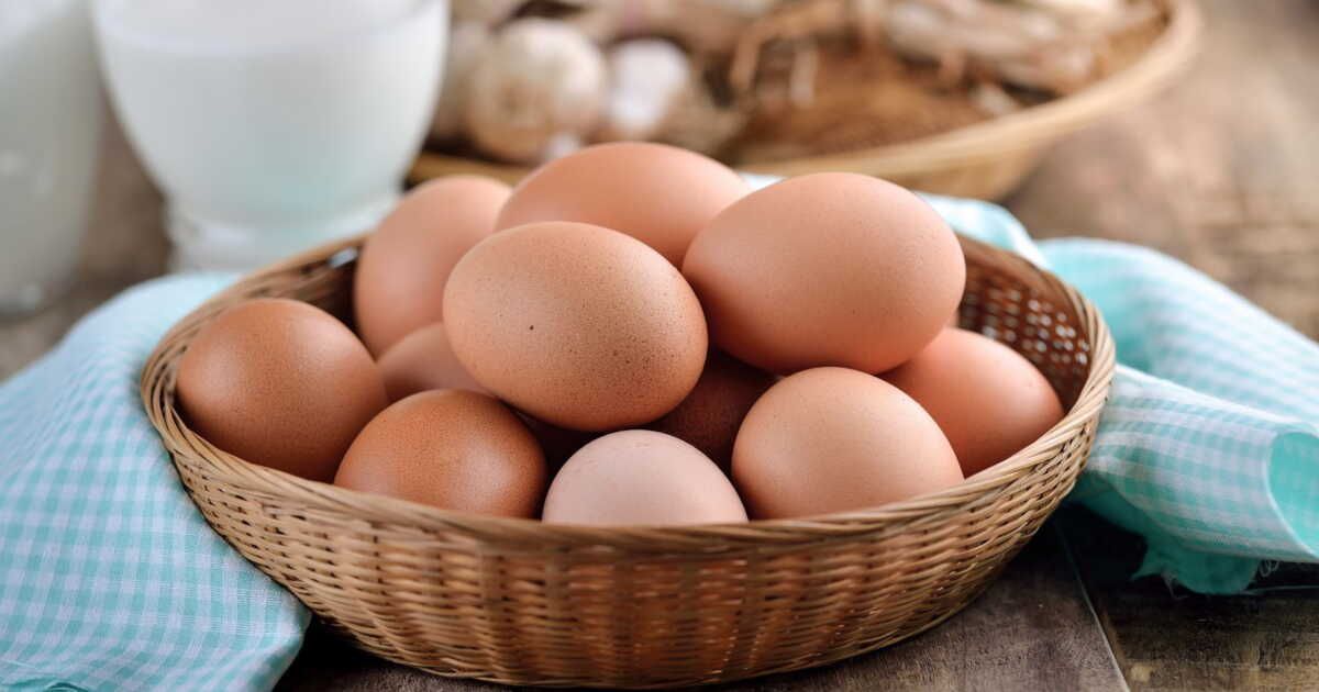 Évitez la salmonellose : 4 conseils pratiques pour manipuler vos œufs en toute sécurité